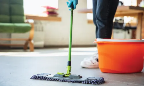 House Cleaning Services