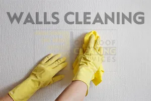Walls Cleaning